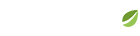 BITFINEX
